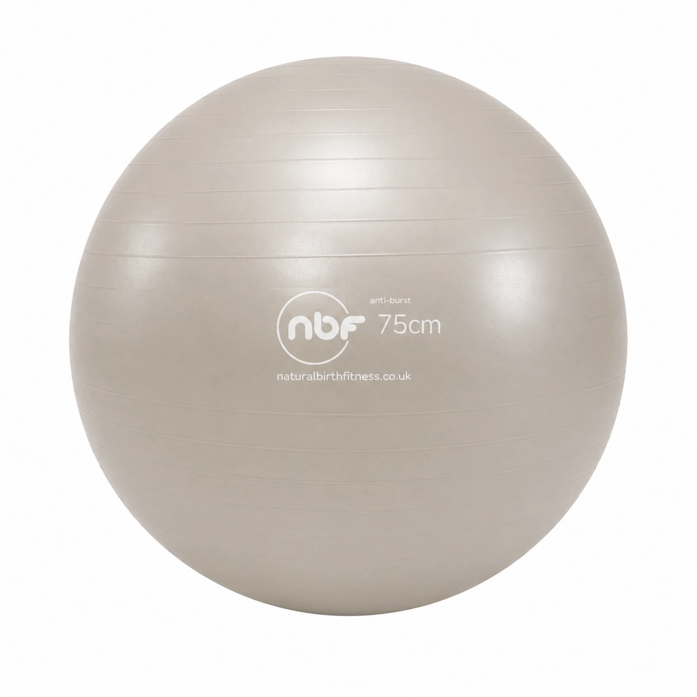 birth ball zilver 75 cm
